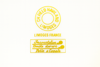 Service de Table Haviland Limoges – 39 Pièces – Porcelaine à Incrustation Or