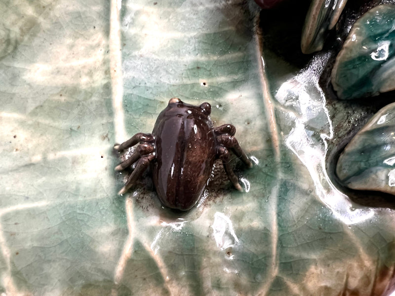 Jardinière Murale en Barbotine – Feuille, Oiseau & Scarabée – France, Fin XIXᵉ