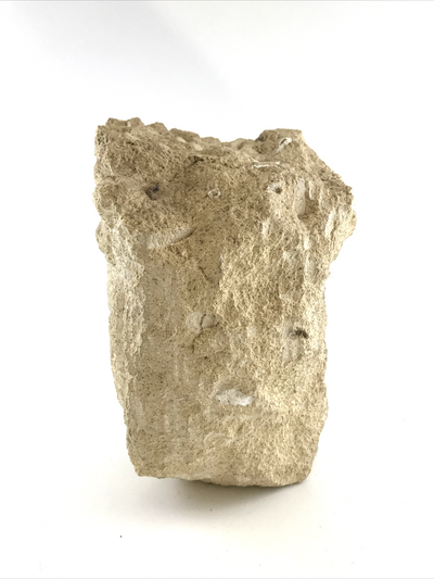 Tête de Christ en pierre calcaire – Lorraine ou Champagne – XVIᵉ siècle